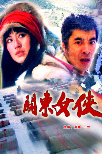 关东女侠海报