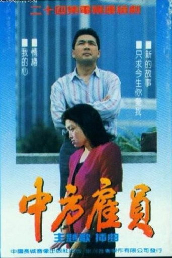 中方雇员海报