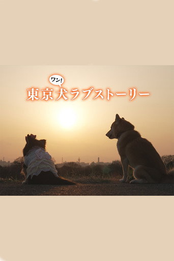 东京犬爱情故事海报