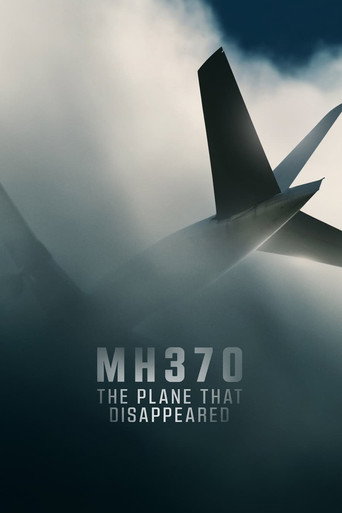 MH370:消失的马航客机海报