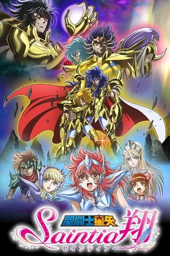 圣斗士星矢:圣斗少女翔海报