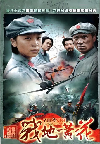 战地黄花海报