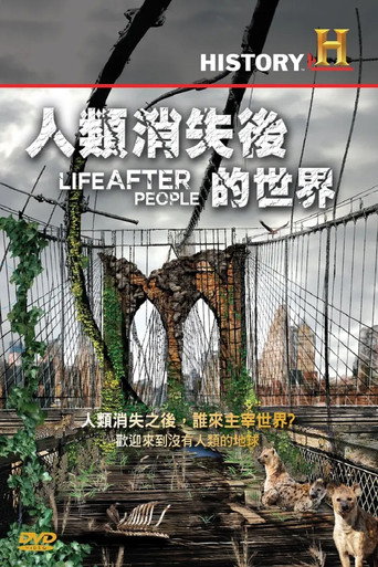 人类消失后的世界海报
