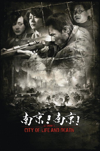南京！南京！海报