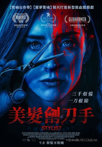 发型师海报