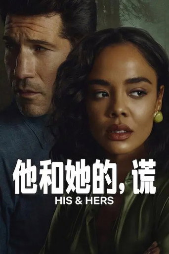 他和她的,谎海报