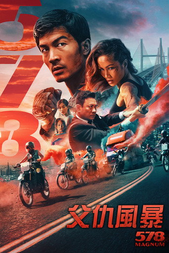 578:狂人一击海报