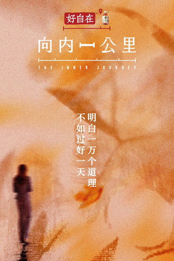 向内一公里海报