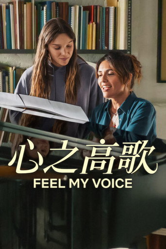 心之高歌海报