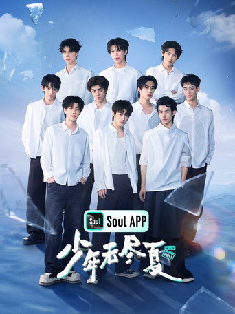 少年无尽夏海报