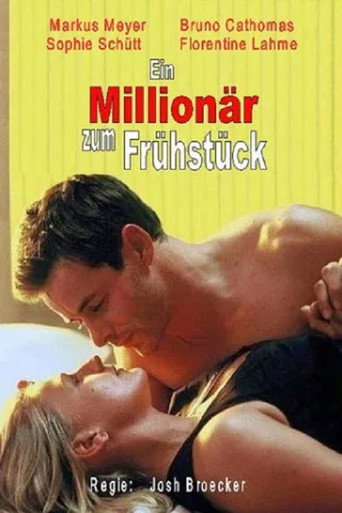 甜蜜的惊喜海报