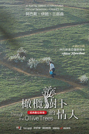 橄榄树下的情人海报