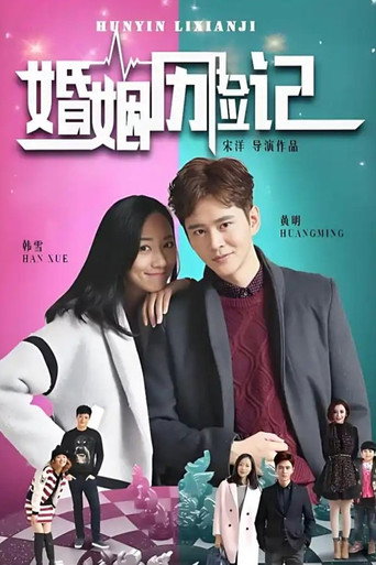 婚姻历险记海报