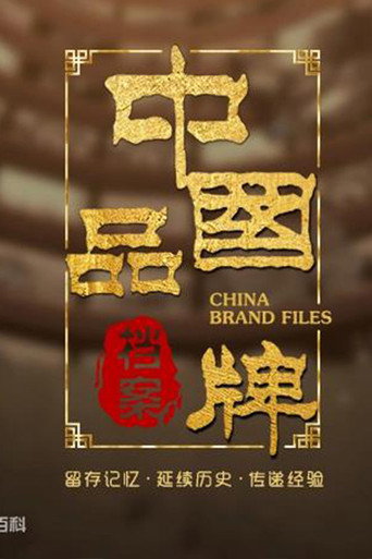 中国品牌档案海报