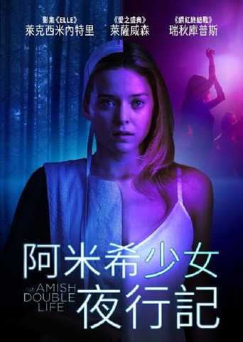 我的阿米什人双重生活海报