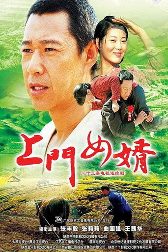 上门女婿海报