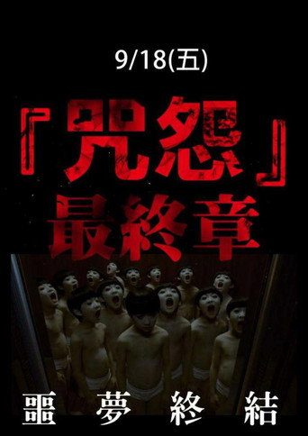 咒怨:完结篇海报