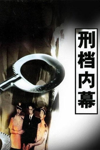 刑档内幕海报