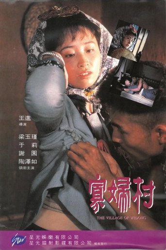 寡妇村海报