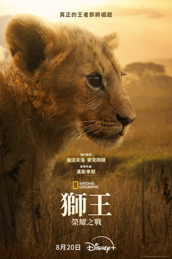 狮王:荣耀之战海报