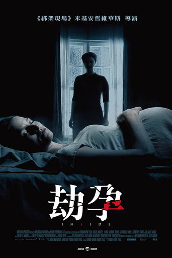 孕中惊魂海报