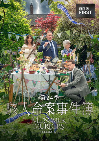 骇人命案事件簿 第 24 季海报