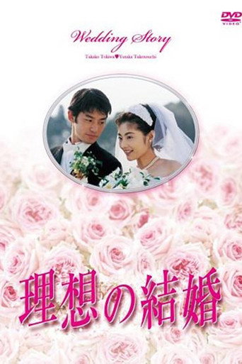 理想的结婚海报