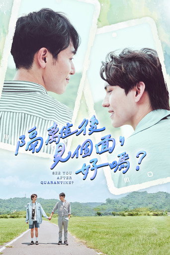 隔离后见个面,好吗?海报
