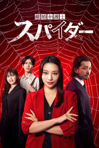 离婚律师 蜘蛛 ~抚恤金争夺篇~海报