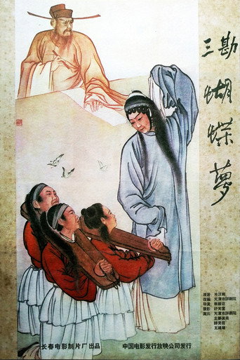 三勘蝴蝶梦海报