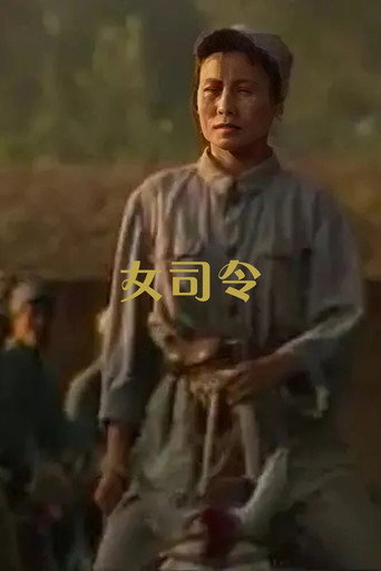 女司令海报