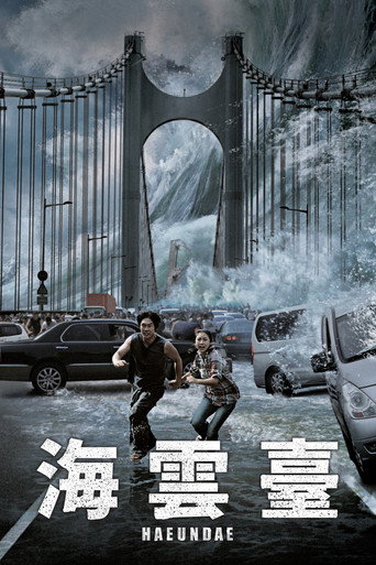 海云台海报