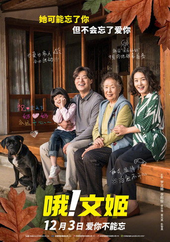 哦!文姬海报