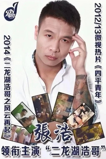 二龙湖浩哥之四平青年海报