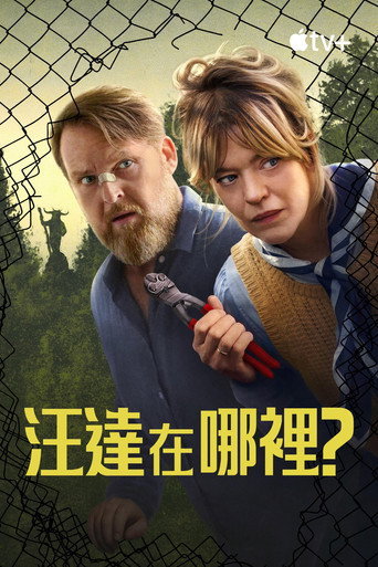 旺达在哪里？海报
