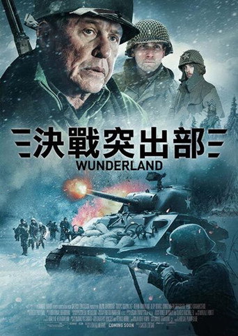 最后的狙击战海报