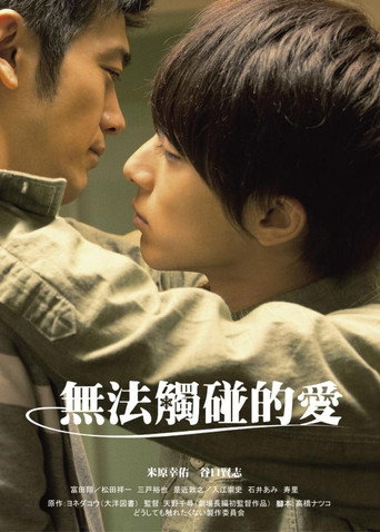 无法触碰的爱海报