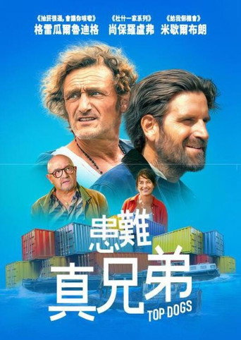 患难真兄弟海报