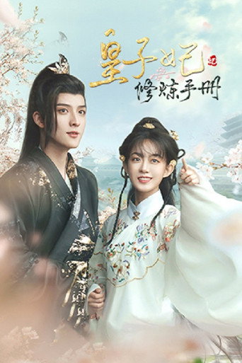 皇子妃修炼手册海报