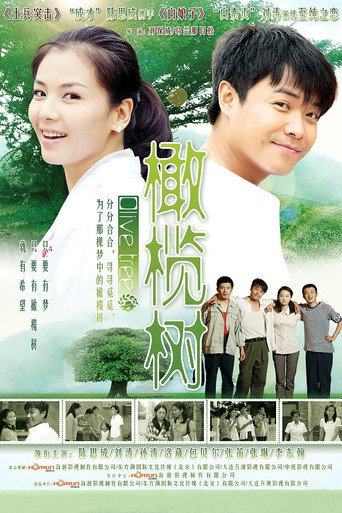 橄榄树海报