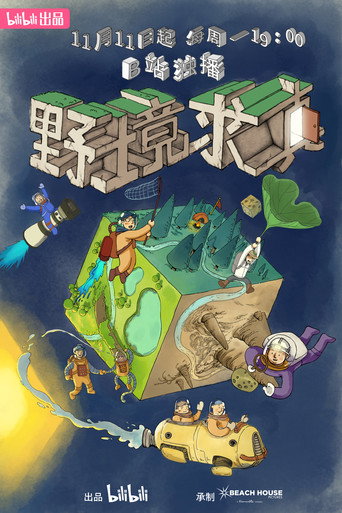 野境求真海报