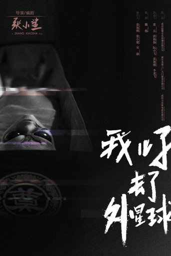 我儿子去了外星球海报
