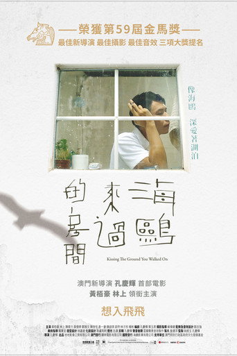 海鸥来过的房间海报
