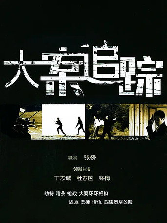 大案追踪海报