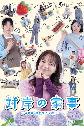 对岸的家务事~这就是我的生存之道!~海报