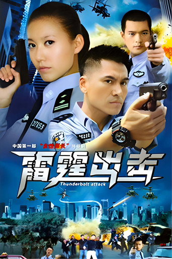 要案组雷霆出击海报