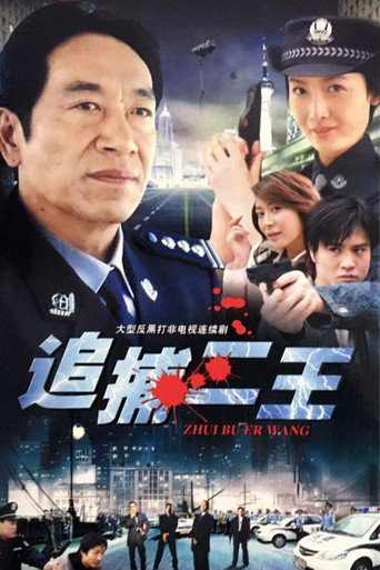 追捕二王海报