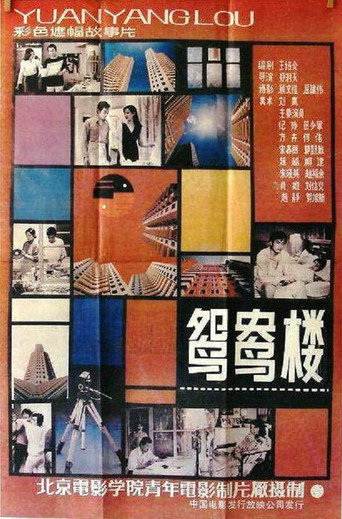 鸳鸯楼海报
