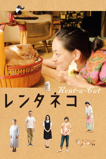 租赁猫海报