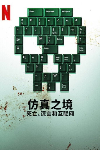 仿真之境:死亡、谎言和互联网海报